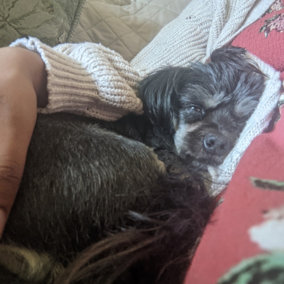 Closet Info - Picture 6 of 7